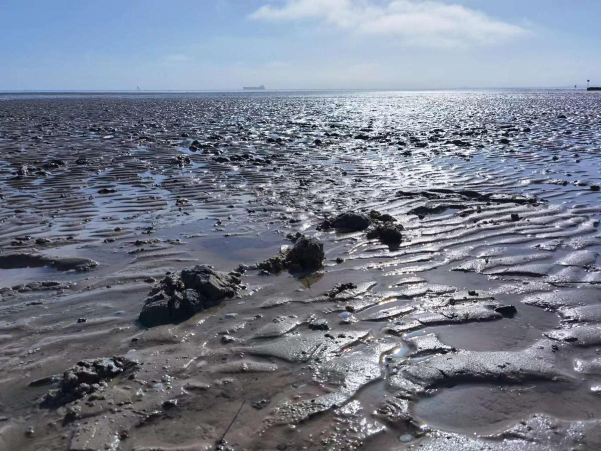 Schaake Schillig-Strandnahe Wohlfuehloase Mit Modernem Flair Und Kostenlosem Parken Esterno foto
